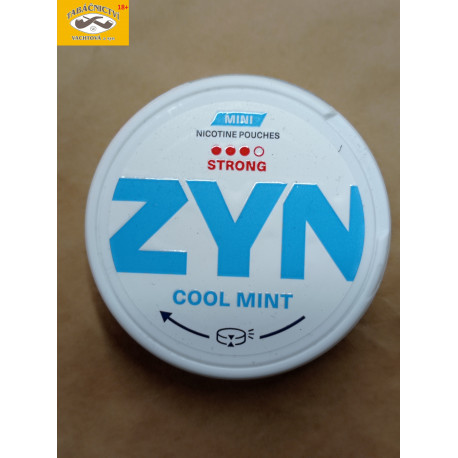 ZYN COOL MINT MINI STRONG